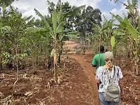Wandelen naar Sipi Falls