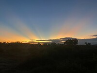 Goedemorgen in Ruaha np