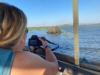 Olifant op de foto zetten