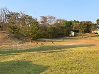 Impala`s op het terrein van de lodge