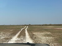 Liuwa plains