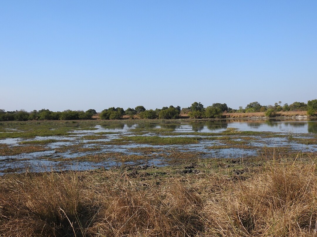 moeras Kafue np