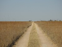 Tussen het dorre gras Kafue np