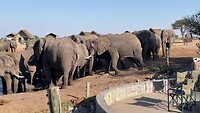 Elephant Sands