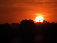 De zon gaat onder