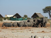 Elephant sands