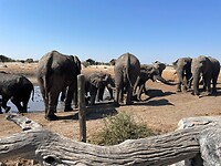 De waterhole bij elephant sands