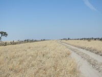 Onderweg naar Kubu island