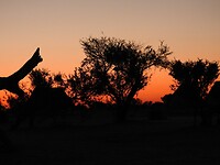 Weer een prachtige zonsondergang