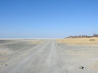 Weg langs het eiland