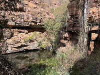 In de Moremi kloof
