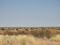 Kgalagadi Transfrontier Park