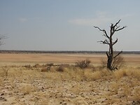 Mabuasehube pan