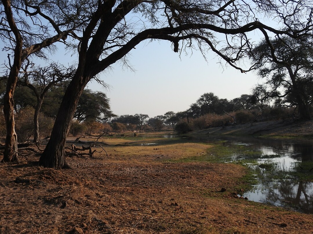 Bij Tshaa camp
