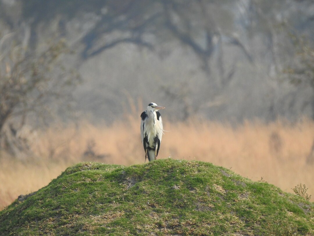 Mooi op de heuvel