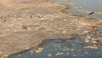 Okavangka delta vanuit de lucht