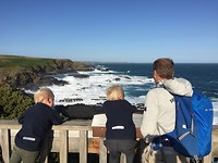 Philip Island, The Nobbies