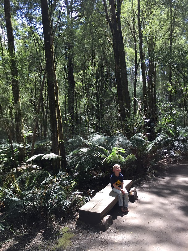 Casper, lost in paradise...