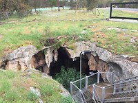 Stick-Tomato cave in Naracoorte.