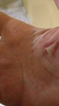 IMG-20190124-WA0005