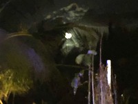 IMG-20190422-WA0002