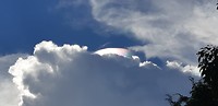 IMG-20190616-WA0015