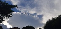 IMG-20190616-WA0017