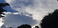 IMG-20190616-WA0018