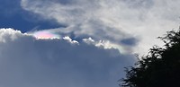 IMG-20190616-WA0019