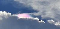IMG-20190616-WA0020