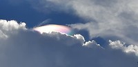 IMG-20190616-WA0022