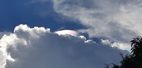IMG-20190616-WA0023
