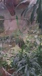 IMG_20190629_122138764