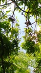 IMG_20190621_111448728