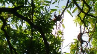 IMG_20190621_111538375