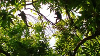 IMG_20190621_112022286