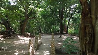 IMG_20190621_121731956