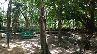 IMG_20190621_121733830