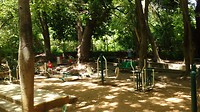 IMG_20190621_121736212