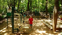 IMG_20190621_121742162