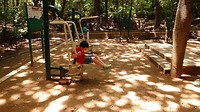 IMG_20190621_121750781