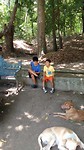 IMG_20190621_123049383