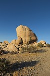 The Rocks in het Joshua Tree park