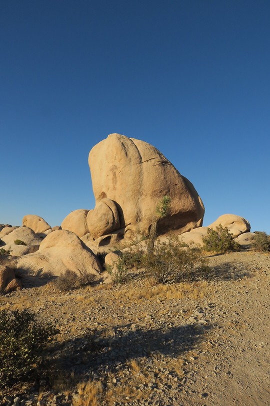 The Rocks in het Joshua Tree park