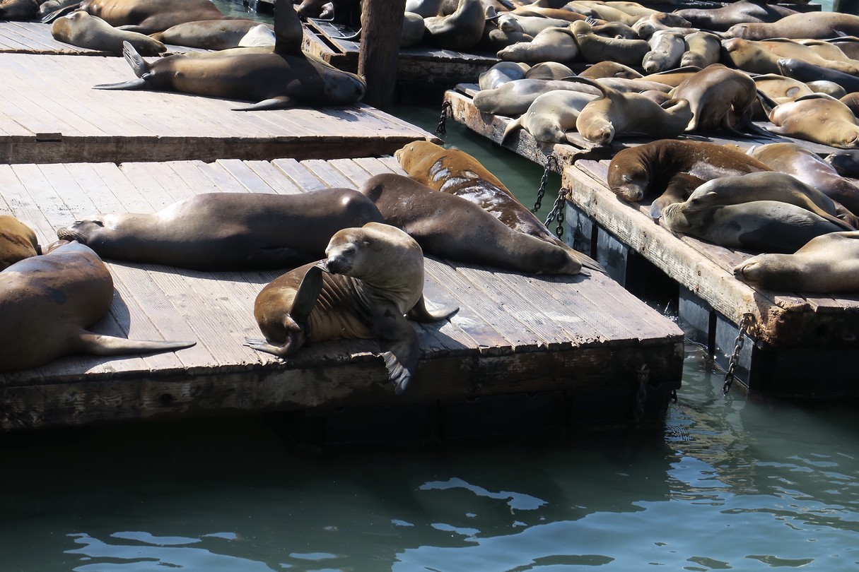 Fisherman’s Warf