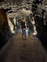 Door de tunnel