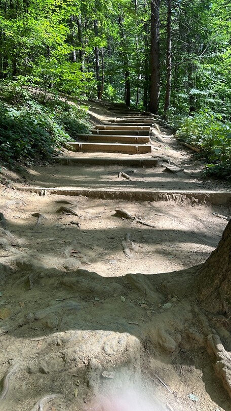 Wandelpad