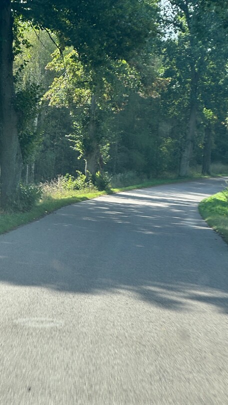 Smalle weg