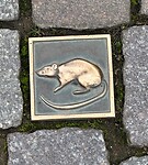 De ratten tegeltjes in de straten