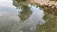 Aan het water bij onze overnachtingsplek